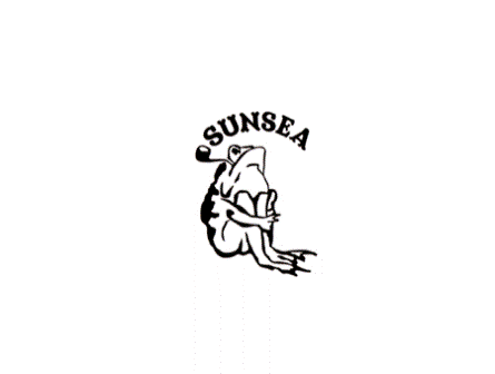 画像:  【SUNSEA】新作入荷 