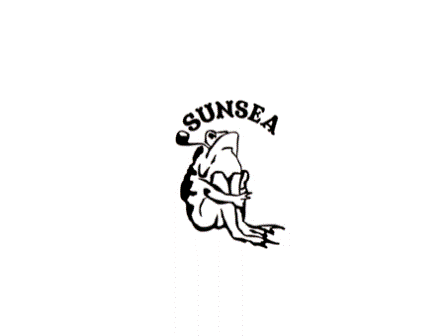 画像: 【SUNSEA】 新作/再入荷